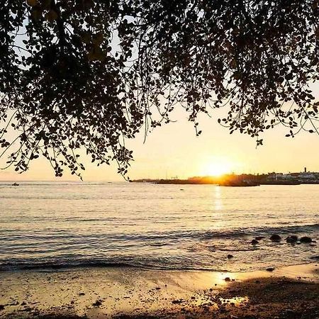 Appartement A 2 Pas De La Plage De Terre Sainte Eksteriør bilde