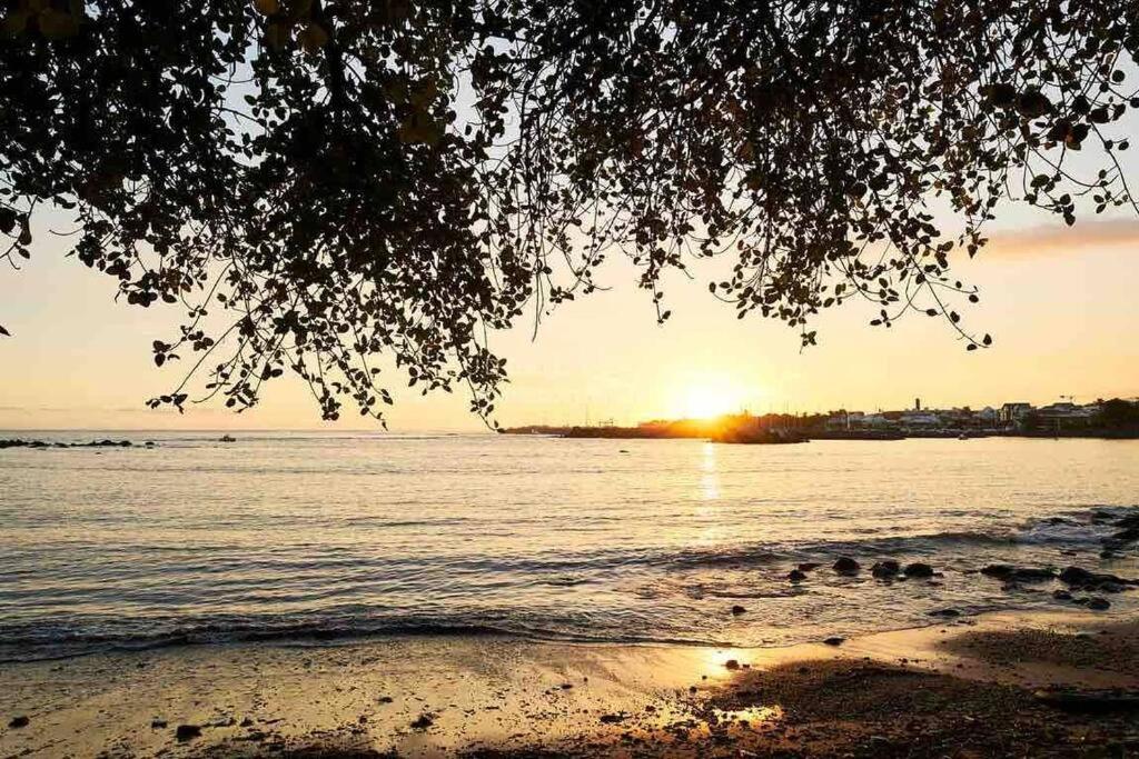 Appartement A 2 Pas De La Plage De Terre Sainte Eksteriør bilde